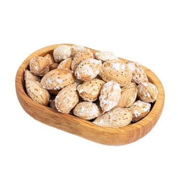  کاغذی شور ایرانی رویال - 500 گرم6365e4361c81c106350